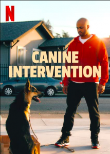 Canine-Intervention