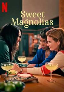 Sweet Magnolias สวีท แมกโนเลีย หวาน กร้าว แกร่ง