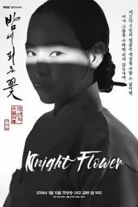 ดูซีรี่ย์เกาหลี Knight Flower (2024)