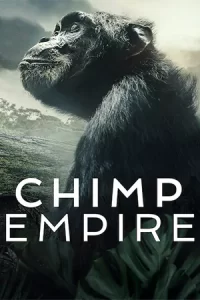 ดูซีรี่ย์ Chimp Empire (2023) อาณาจักรชิมแปนซี