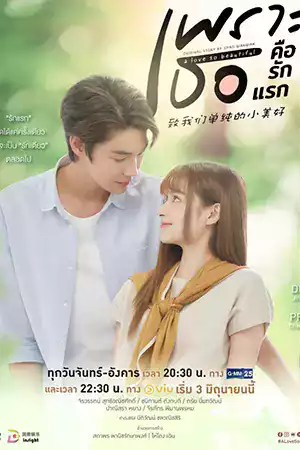 ดูซีรี่ย์ไทย A Love So Beautiful (2024) เพราะเธอคือรักแรก