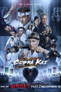 ดูซีรี่ย์ cobra kai คอบร้า ไค season 6